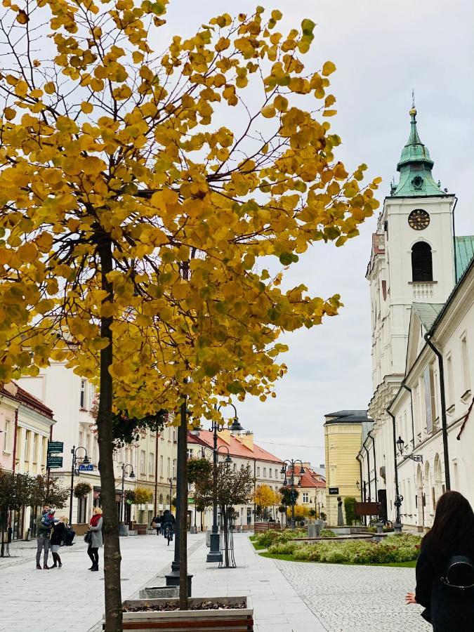 Apartment New Wave Big & Beautiful -parking Rzeszow